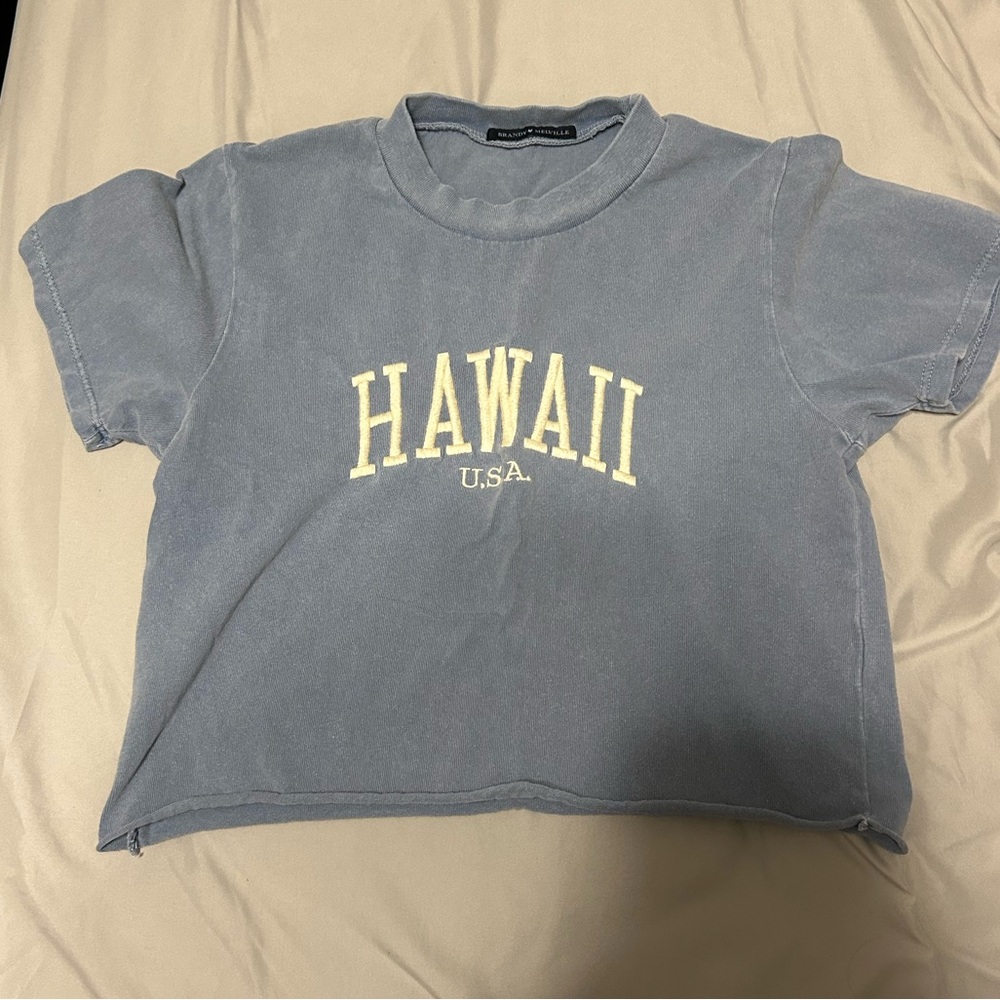 Brandy Melville Crop Top